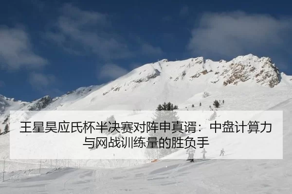wang-xing-hao-ying-shi-bei-ban-jue-sai-dui-zhen-shen-zhen-xu-zhong-pan-ji-suan-li-yu-wang-zhan-xun-lian-liang-de-sheng-2-389.jpg